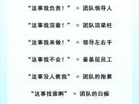 开云体育入口-关于精妙配合，展现球员默契与团队精神的信息