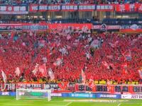 开云体育app-关于网络直播火爆足球盛况，球迷热情高涨的信息