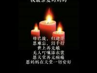 开云体育在线-长途泣伤，昏死无人理，独自欢笑的简单介绍