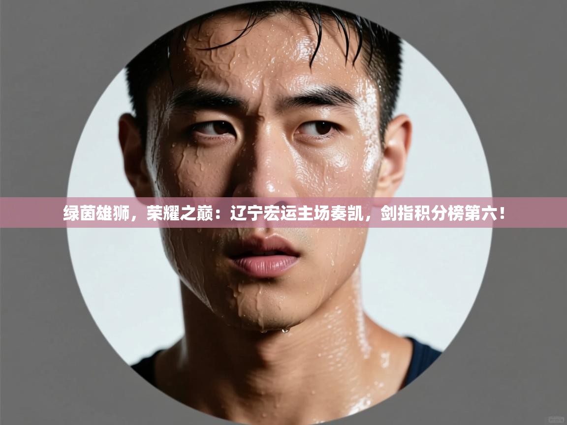 绿茵雄狮，荣耀之巅：辽宁宏运主场奏凯，剑指积分榜第六！  第2张